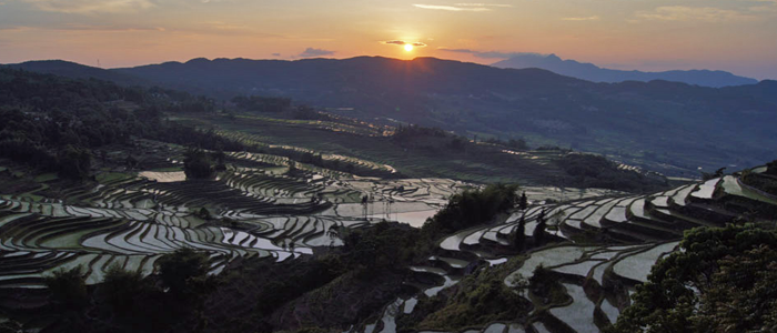 Hanoi to Kunming Vietnam rice fields