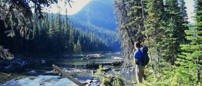Wildlife and Canadian Rockies waterways Jasper
