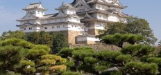 Himeji_Castle_-_with_bonsais_960
