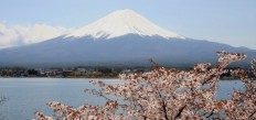 Mt.Fuji_and_Cherry_blossom960