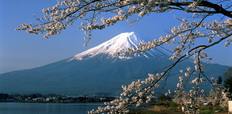 Mt._Fuji